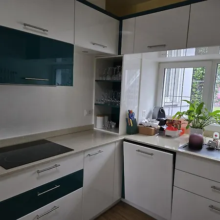 Il Baitone 1 Appartement Minusio