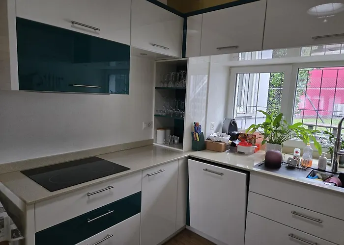 Il Baitone 1 Apartment Minusio